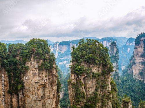 Beautiful mountain yalley of Yuanjiajie or Avartar mountain at Zhangjiajie National Forest Park in Wulingyuan District Zhangjiajie City China photo