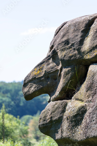 Profile of stone witch, natural rock shape, Petrified City, Ciezkowice, Poland photo