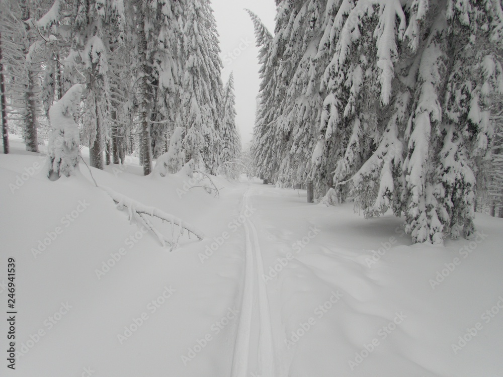 beautiful winter lanscape skitouring in the alps beautiful winter lanscape skitouring in the alps