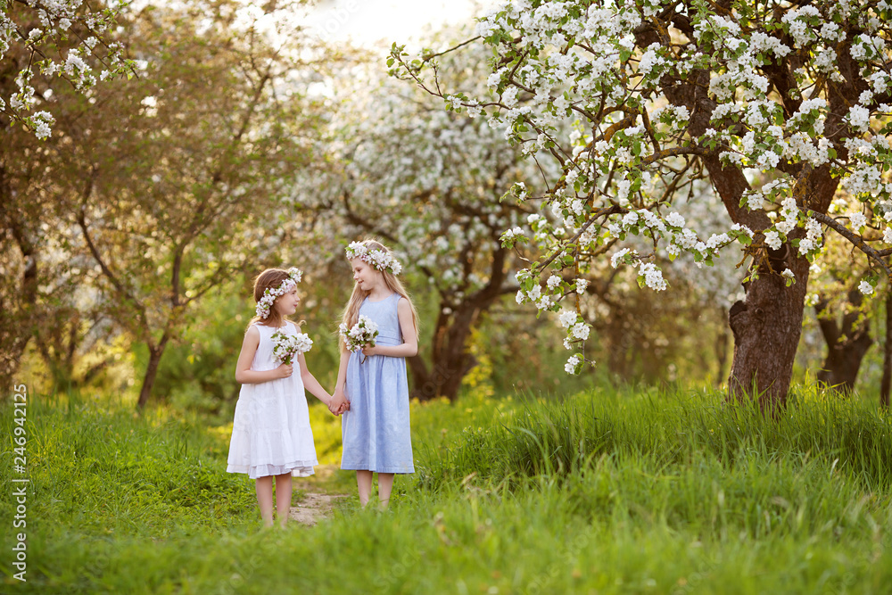 Fototapeta premium Beautiful young girls in long dresses in the garden with blosoming apple trees. Smiling girls having fun and enjoying