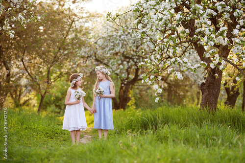 Beautiful young girls in long dresses in the garden with blosoming  apple trees. Smiling girls  having fun and enjoying © fadzeyeva