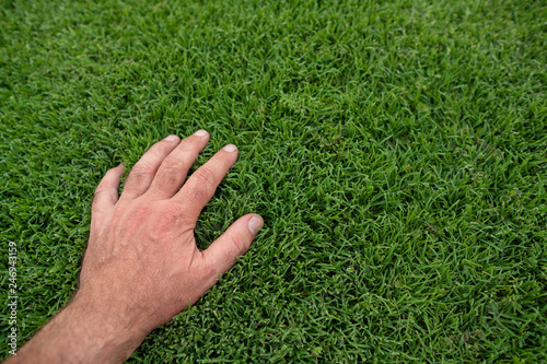 Hand touches lush green lawn
