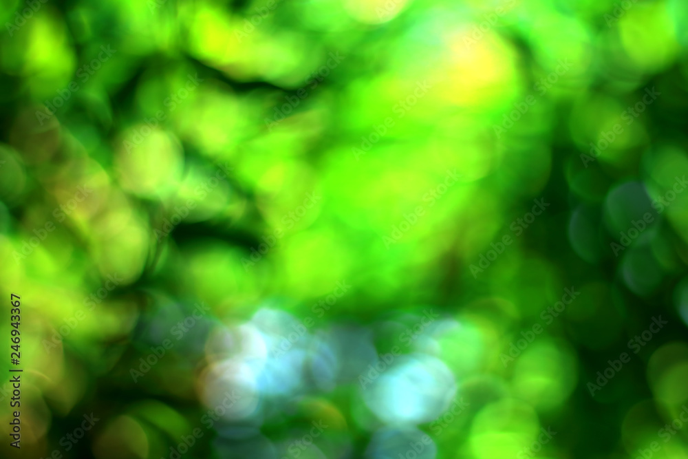 Fototapeta premium Abstract nature green bokeh background.