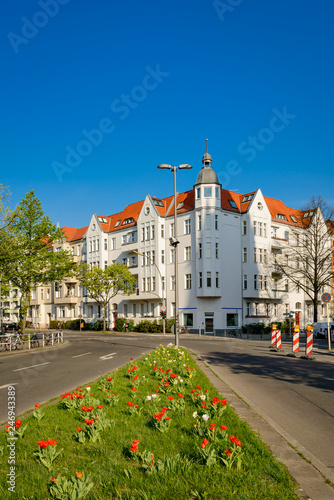 Frühlingsblumen auf einer Straßeninsel am Friedrich-Wilhelm-Platz in Berlin-Friedenau photo