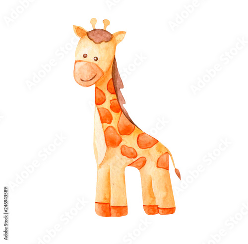 cute watercolor giraffe. african animal illustration  
