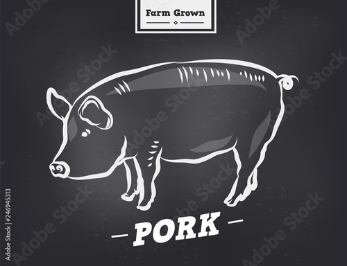 Vintage typographic premium pork meat label. Vector type illustration