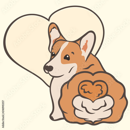 Corgi dog breed vector illustration. Cute corgi puppy cartoon icon. Welsh Corgi, love dogs. Simple emblem for pet shop, zoo ads, animal food package. Doggy image in minimal style.