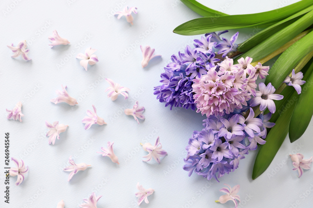 Naklejka premium ヒヤシンス