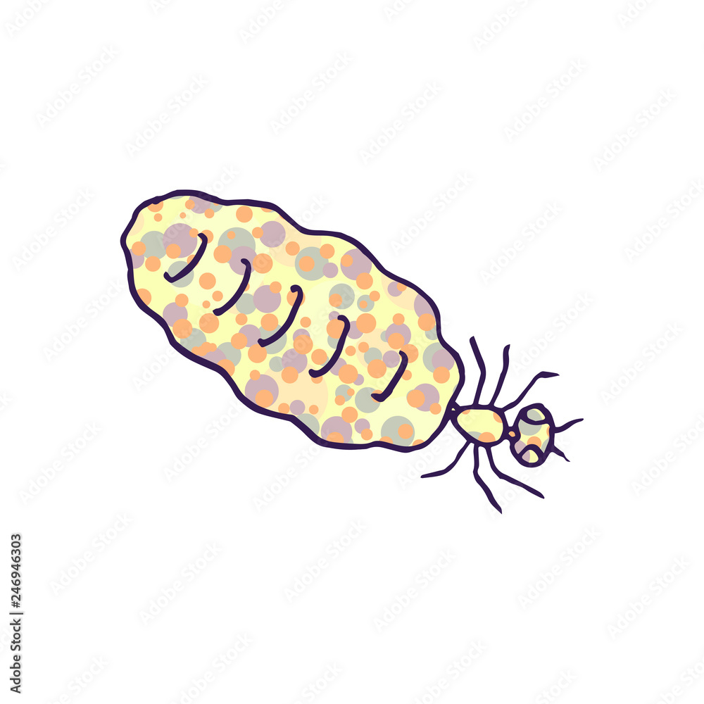 termite queen vector doodle sketch isolated on white background termite queen vector doodle sketch isolated on white background