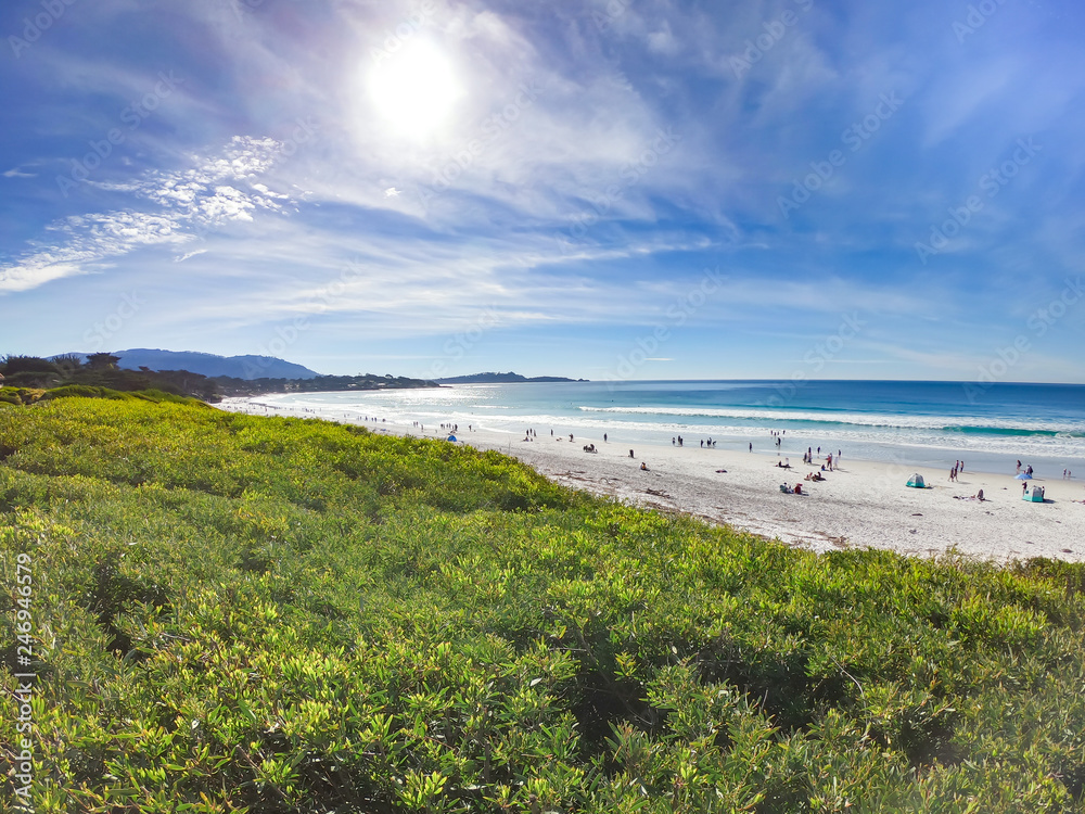 The Ocean View in Monterey and Carmel, CA