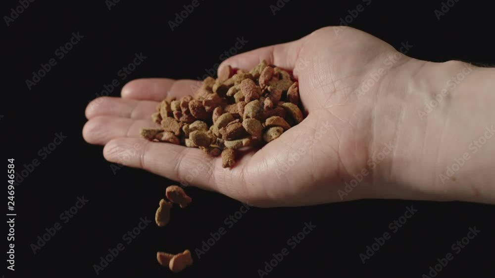 SLOW MOTION: Pet food falls from man's palm - Front view SLOW MOTION: Pet food falls from man's palm - Front view