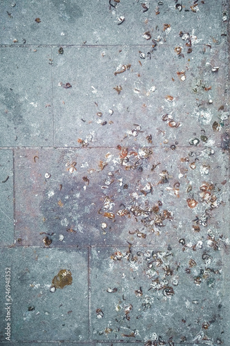 bird poop on the floor, vertical picture of pigeon excrements