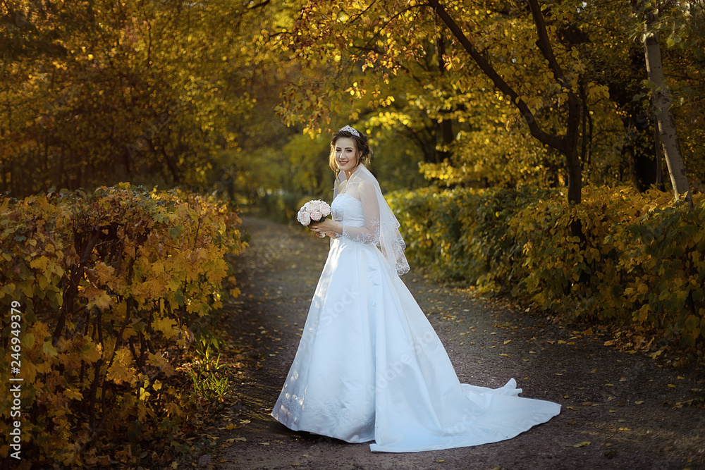 bride in a classic wedding dress with a train in nature.