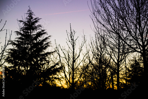 naturaleza atardecer