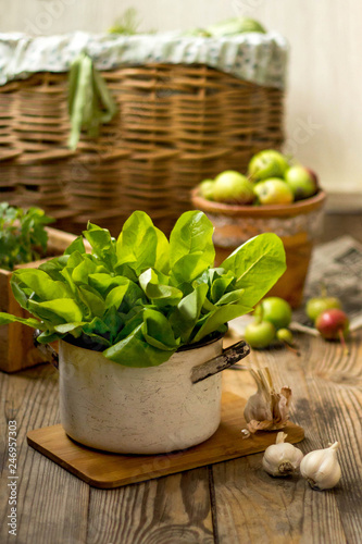 Green fresh leaf lettuce in a metal pan on a wooden background