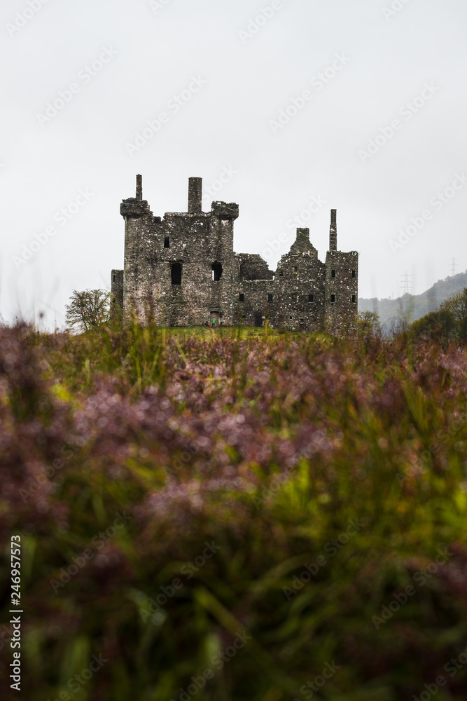 Ruins of Kilchurn Castle near Loch Lomond with flower foreground during a rainy autumn day with path to castle (Scotland, United Kingdom, Europe)