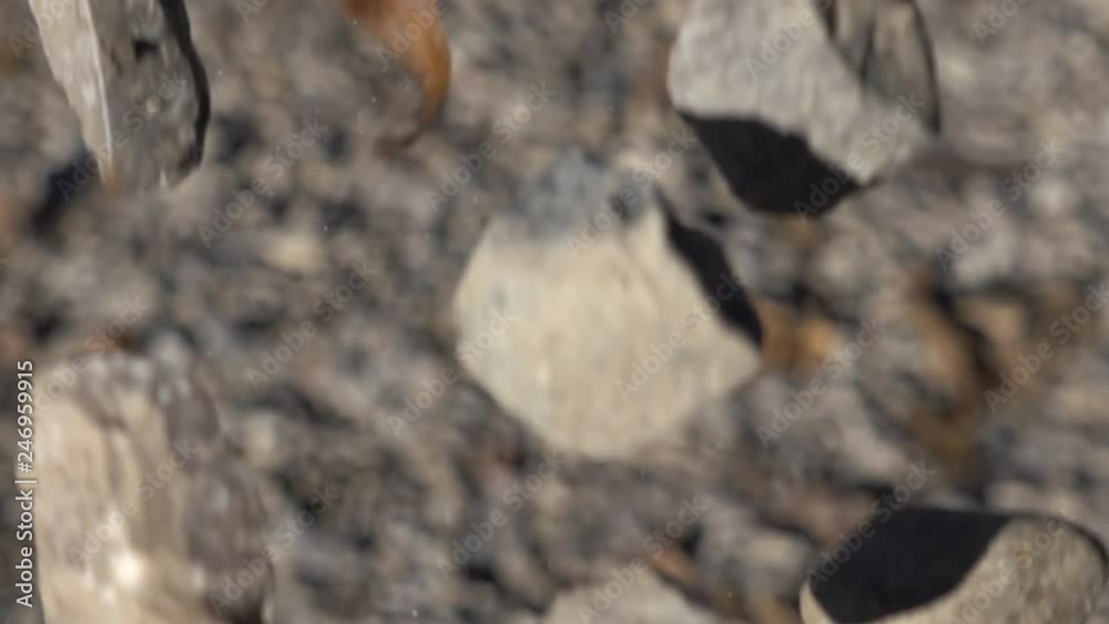 Super Slow Motion Bunch Of Rocks With Rock Dust And Leaves Falling Straight Down Super Slow Motion Bunch Of Rocks With Rock Dust And Leaves Falling Straight Down