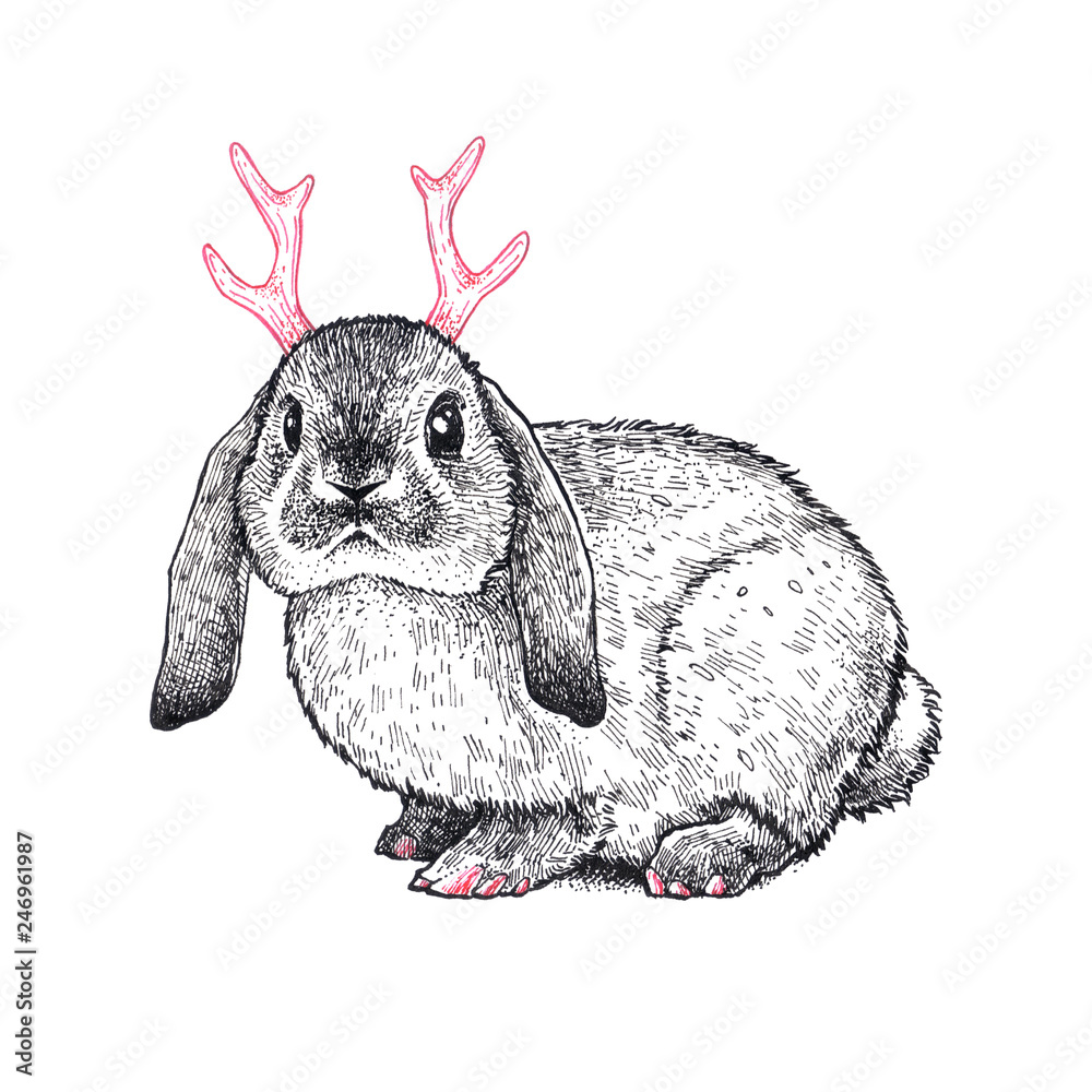 Hare with a horns isolated on a white background. Hand drawn fantasy ...