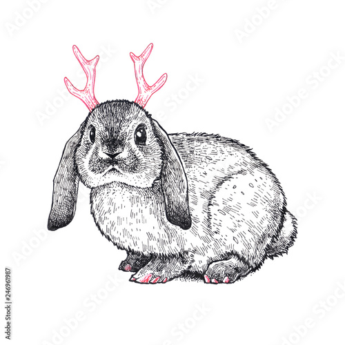 Hare with a horns isolated on a white background. Hand drawn fantasy ink illustration. Vintage style. Graphic artwork with the bunny. Magical creature.