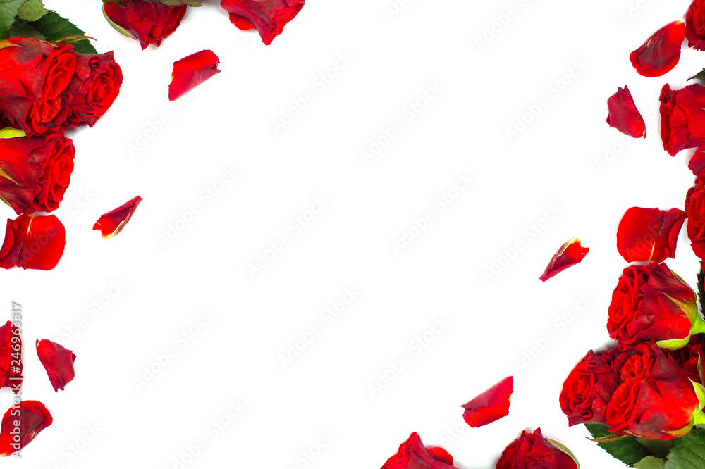 Red roses on a white background. Gift bouquet for a girl on Valentine's Day or Mother's Day
Red roses on a white background. Gift bouquet for a girl on Valentine's Day or Mother's Day