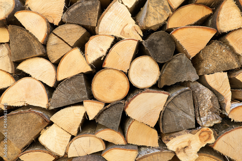 Wooden logs arranged in a wood of a Swiss village. Wooden logs arranged in a wood of a Swiss village.