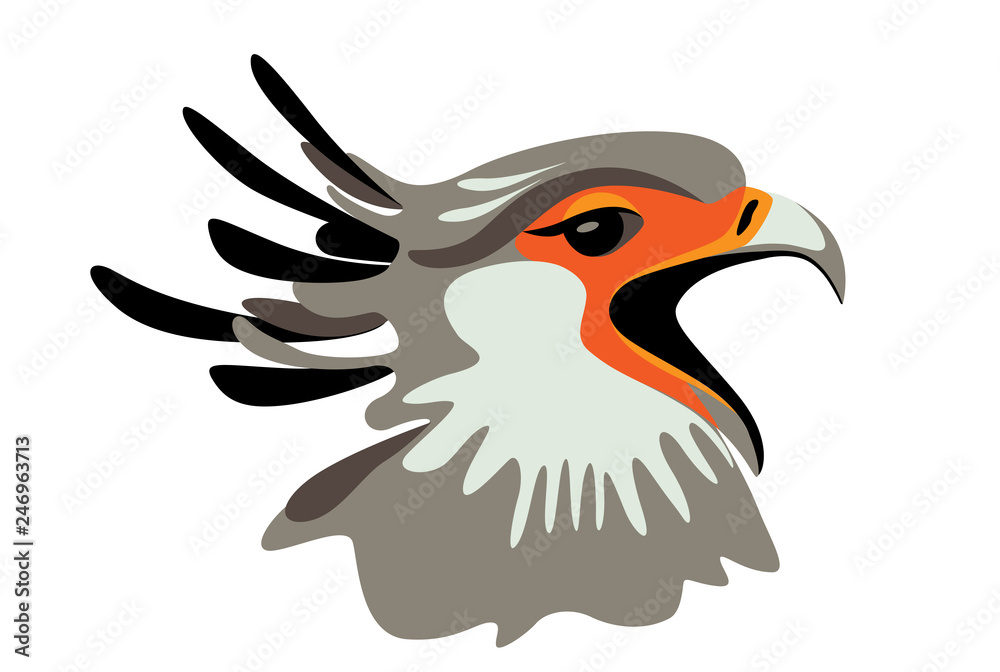Fototapeta premium bird Secretary screams