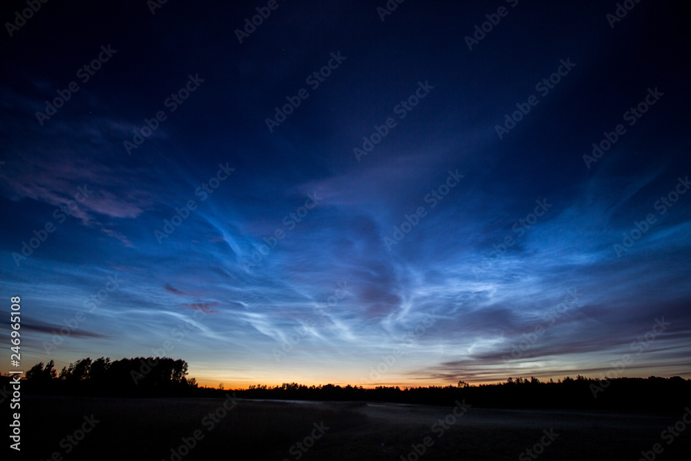 amazing noctilucent clouds over forest at summer in Lithuania