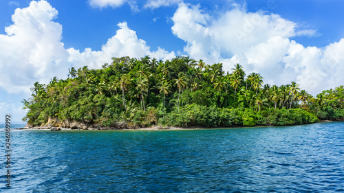 Insel mit Palmen am Meer  © Thomas
