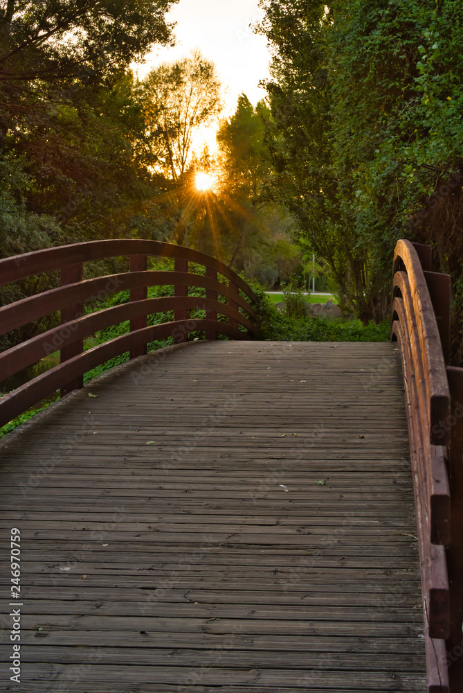 Wooden bridge on a summer sunset Wooden bridge on a summer sunset