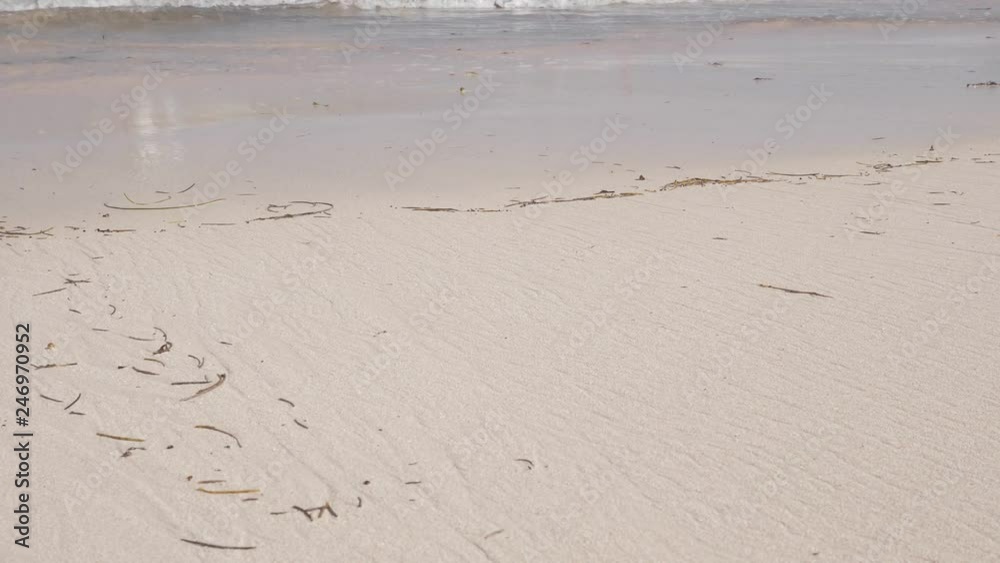 Tropical sandy beach with calm waves. Destination with nobody Tropical sandy beach with calm waves. Destination with nobody
