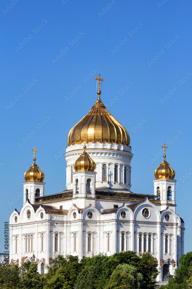 Cathedral of Christ the Saviour