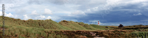 german sylt landscape at the beach of the north sea in late summer autumn with green and red heather pagan and sand