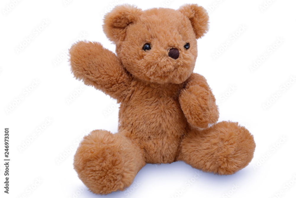 Teddy Bear lift , teddy bear isolated on white background