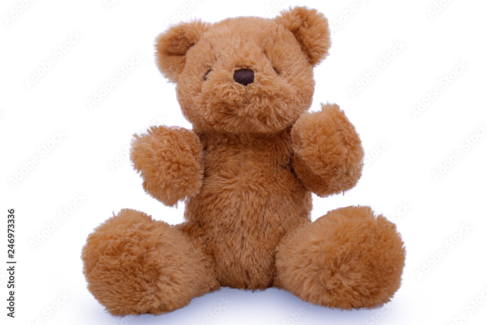 Teddy Bear lift , teddy bear isolated on white background