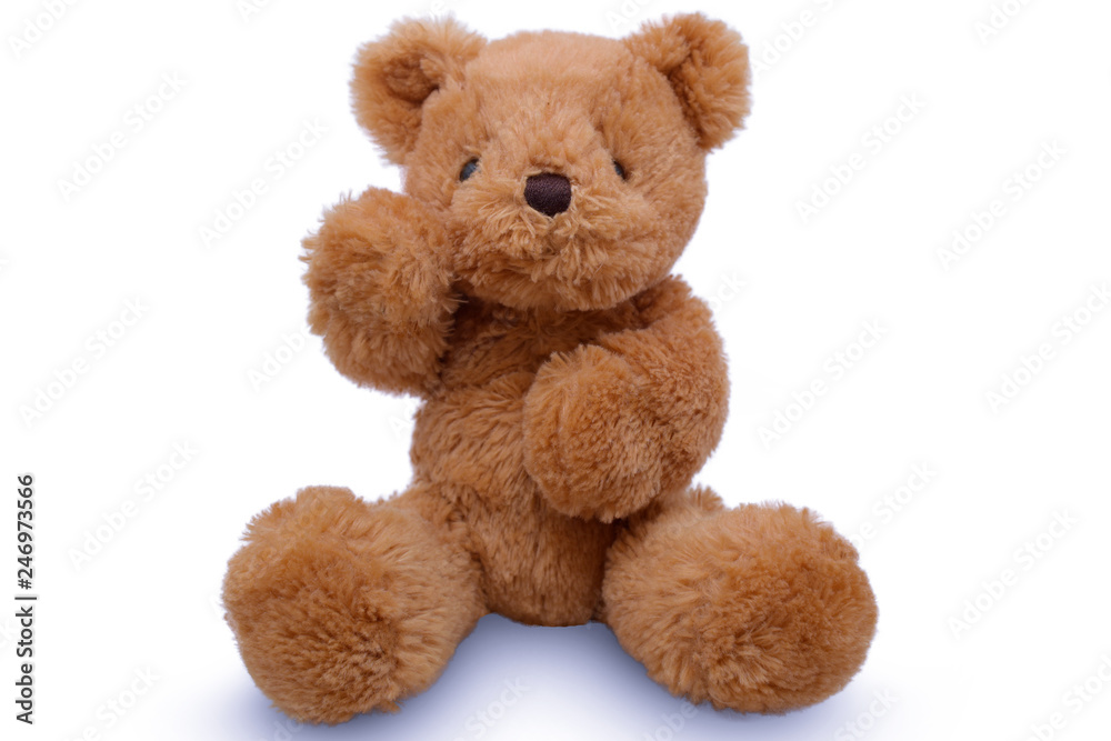Fototapeta premium Teddy Bear lift , teddy bear isolated on white background