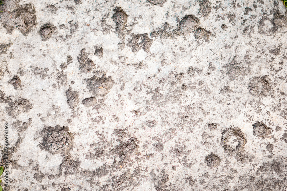 gray stone on earth. the texture of a stone laid on the road gray stone on earth. the texture of a stone laid on the road