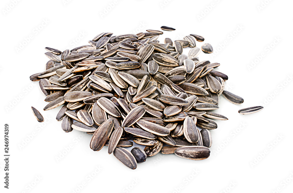 sun flower seed on white background sun flower seed on white background