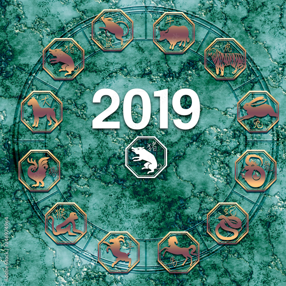 china zodiac with pig symbol chinese astrology with oriental china