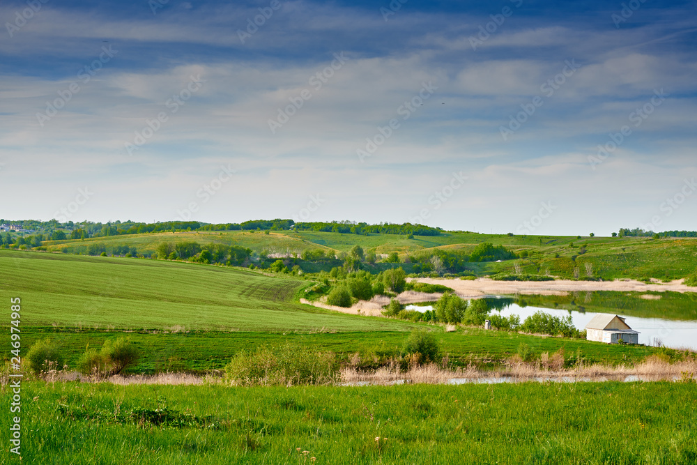 Naklejka premium Spring nature in Russia