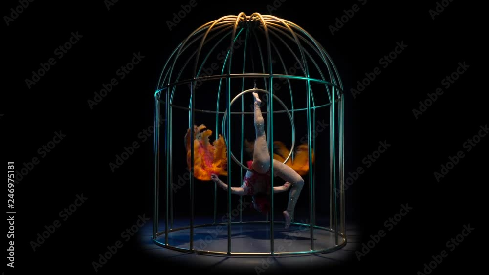 Actress rotates on the air hoop in a cage. Black background Actress rotates on the air hoop in a cage. Black background