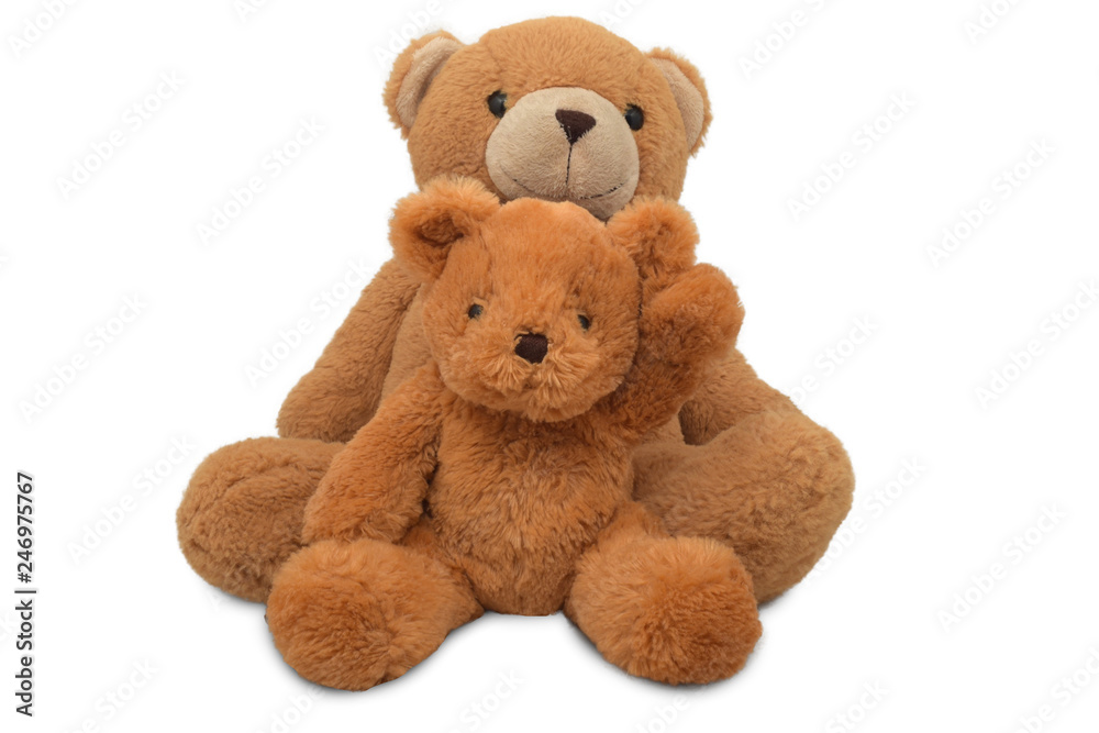 Fototapeta premium Teddy Bear lift , teddy bear isolated on white background