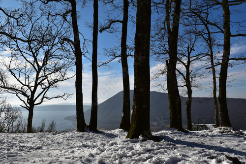 Fototapeta Naklejka Na Ścianę i Meble -  view in the foreground of the snow trees and in the background the mountain the lake and the sky