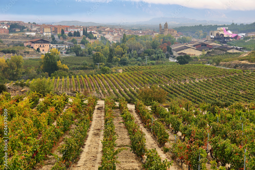 ountryside town of elciego and autumn vineyards in la rioja, Spain