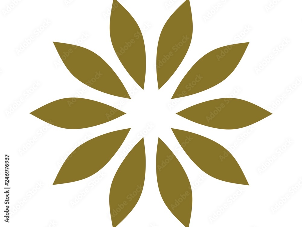 Luxury background with decorative geometric ornament. Retro creative design. geometric pattern in floral style. Simple fashion fabric print. Luxury background with decorative geometric ornament. Retro creative design. geometric pattern in floral style. Simple fashion fabric print.