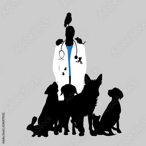 Illustration of icon veterinary. Vector silhouette on white background. Symbol urgency for animal.