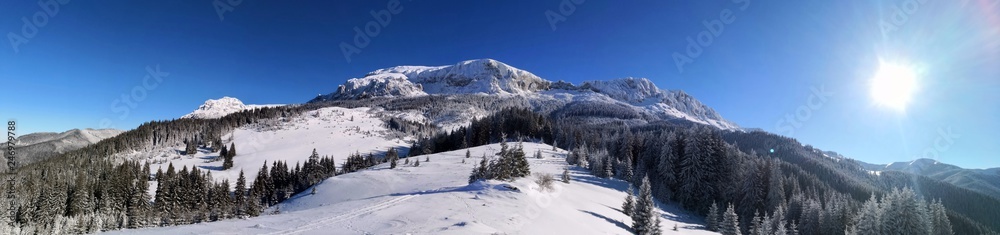 Panoramic winter landscape in the mountains.