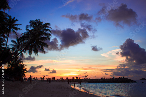 Sunset on the beach. Silhouette of people and a palm trees against the sky.