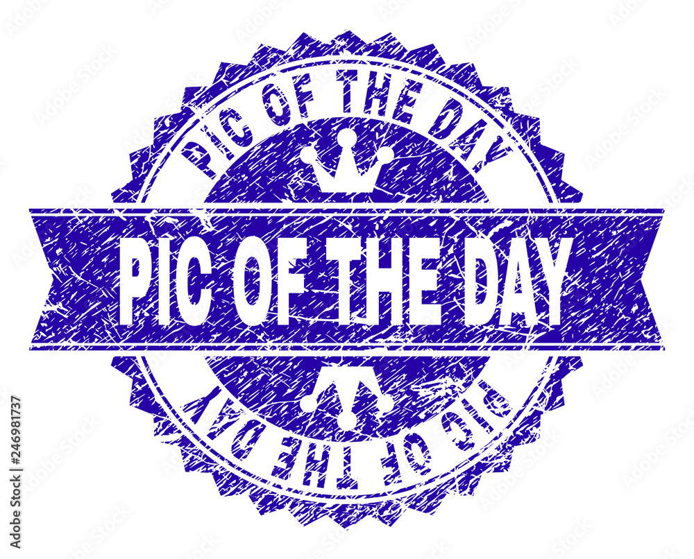 PIC OF THE DAY rosette seal overlay with grunge style. Designed with round rosette, ribbon and small crowns. Blue vector rubber watermark of PIC OF THE DAY caption with grunge style. PIC OF THE DAY rosette seal overlay with grunge style. Designed with round rosette, ribbon and small crowns. Blue vector rubber watermark of PIC OF THE DAY caption with grunge style.
