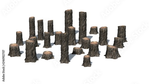 many several tree stumps with shadow on the floor - isolated on white background