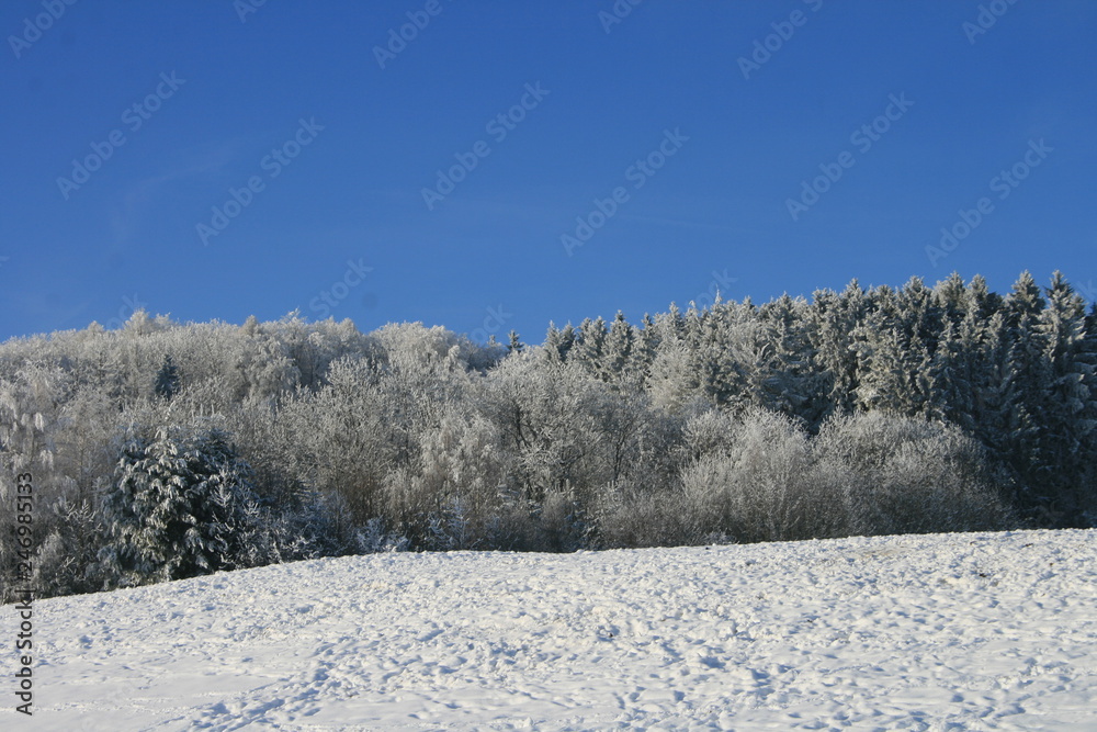Obraz premium Winter